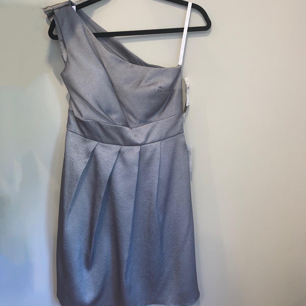 Jenny Yoo Collection Silver One-Arm Dress